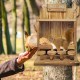Sincap Yemi Mama İstasyonu Çam Ağacından Sincap Yem Evi Sincap Piknik Masası Besleyici Sincap Bar Tabureli Ağaç Yemlik Sincap Yemi Mama İstasyonu Çam Ağacından Sincap Yem Evi Sincap Piknik Masası Besleyici Sincap Bar Tabureli Ağaç Yemlik